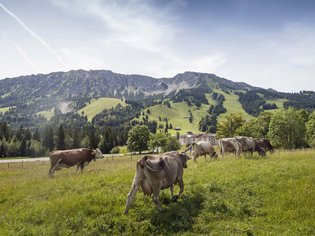 Alpin Lodges Oberjoch – Inklusivleistungen für Ihren Urlaub Alpin Lodges Oberjoch – Inklusivleistungen für Ihren Urlaub